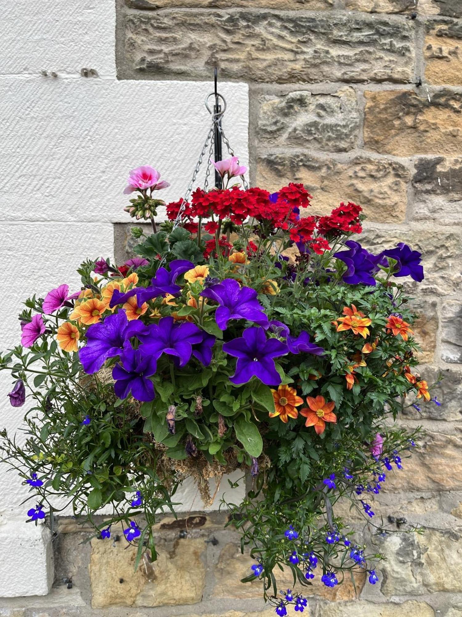 Shaftoe'S Bed And Breakfast Haydon Bridge Exterior photo